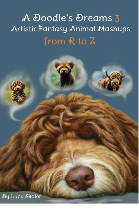 A Doodle's Dreams Book 3 Cover - Imaginative Kids Picture Book