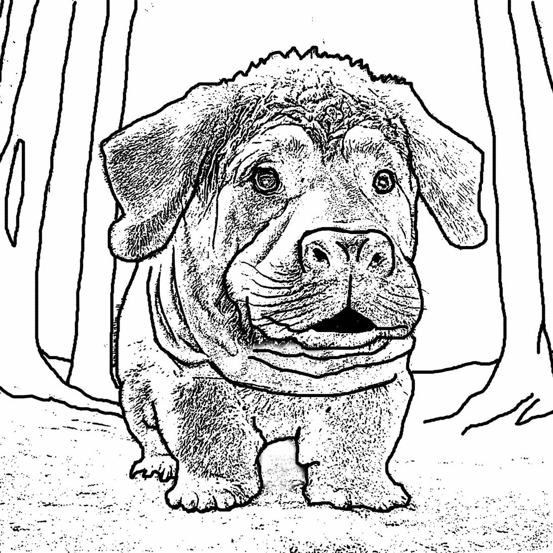 Hippodoodle Coloring Page